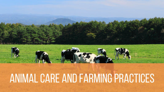 Animal Care and Farming Practices Matter